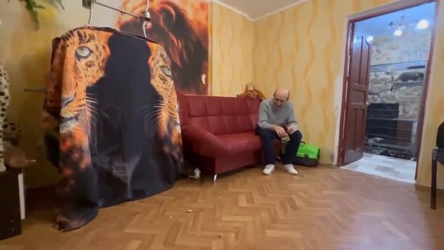 Люська становится похожа на МАЛЕНЬКОГО ЧЕРТЁНКА! Влад прощает любимице всё! смотреть онлайн