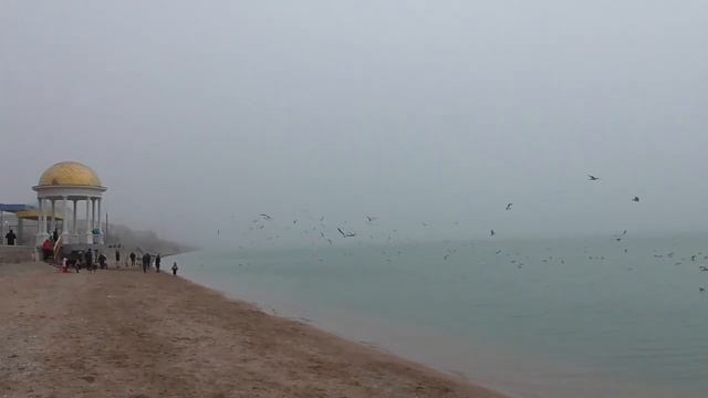 Бердянск (3 02 2019 кинозарисовка) смотреть онлайн