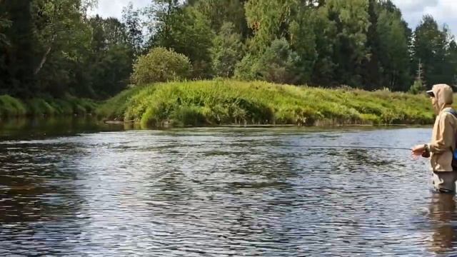 Тверская обл. Лето. Рыбачим смотреть онлайн