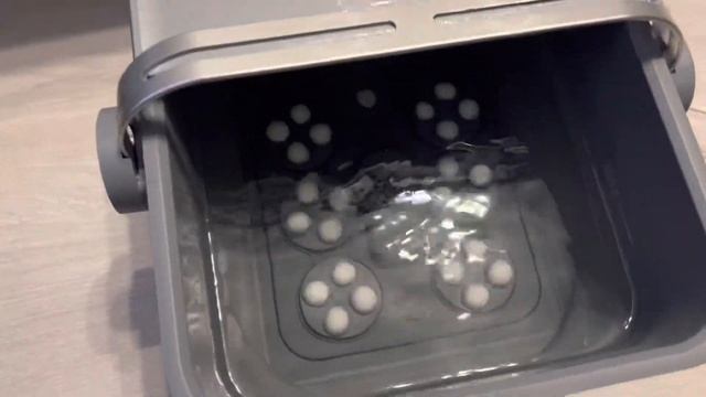 Helst Anemone дефект