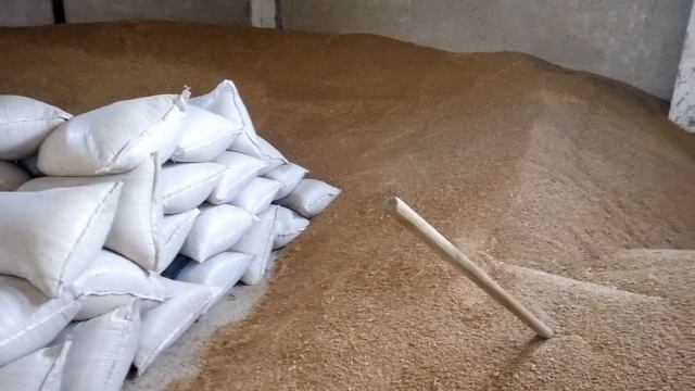 Как окупает себя склад для хранения зерна? смотреть онлайн
