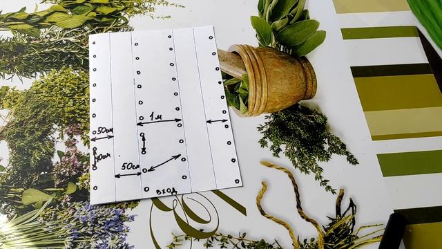 Три универсальных схемы для посадки томатов в теплице смотреть онлайн