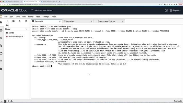 Create Your Own Conda Environment смотреть онлайн