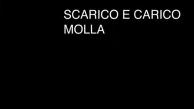 Механизмы Bortoluzzi, Mover, регулировка