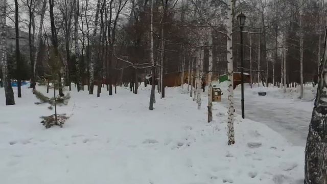 Новосибирск. Dji spark. Парк Березовая роща смотреть онлайн