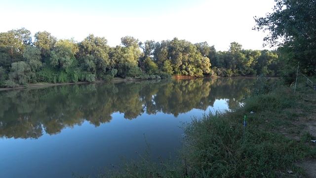 Клев пузатого карасика, река Турунчук, рыбалка 24 часа, обзор снастей, Кристина словила рыбку) смотреть онлайн