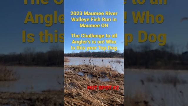 Hot spot #2 for the 2023 Maumee River Walleye Fish Run in Maumee Ohio. March 17 to April 16. смотреть онлайн