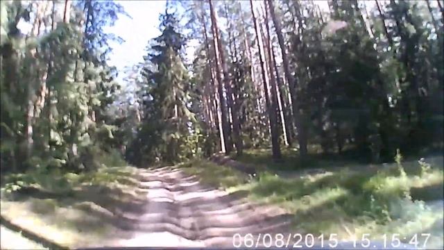 Лесная дорога смотреть онлайн