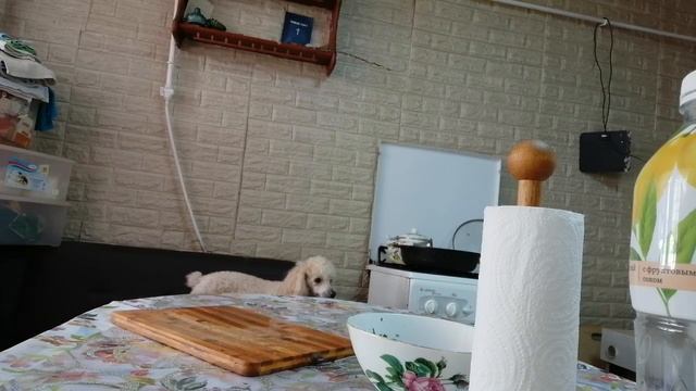 Доброе, тёплое утро. смотреть онлайн