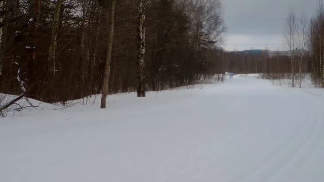 SkiGrom Bitza 30K Радов Павел номер 63 смотреть онлайн