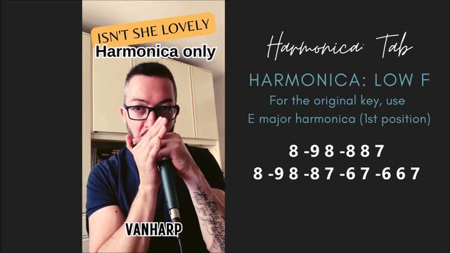 Isn't she lovely - harmonica only (with tab, 1st position) смотреть онлайн