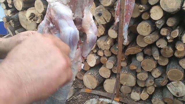 Разделка нутрии на шашлык смотреть онлайн