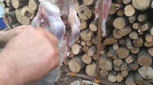 Разделка нутрии на шашлык