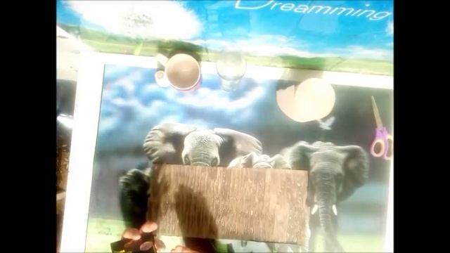 Ипомея. Рассада выросла без земли. 100 % всхожесть. смотреть онлайн