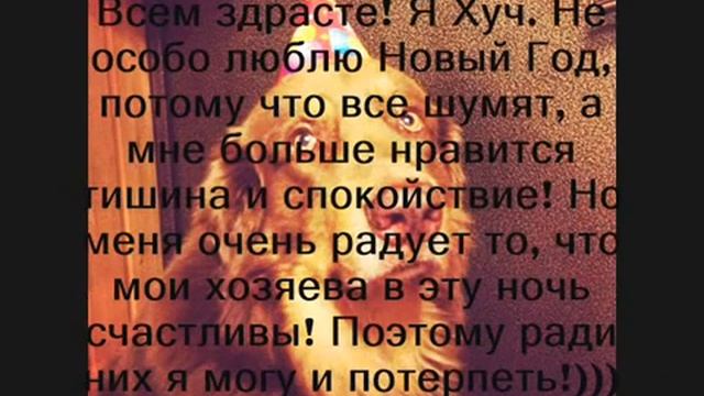 "Новый год моих собак", автор Андронова Элина, 6 класс, школа 1106 смотреть онлайн