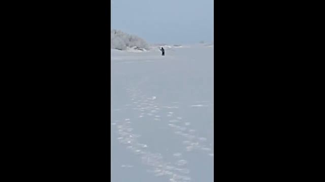 Не очень клевая рыбалка(новая палатка). смотреть онлайн