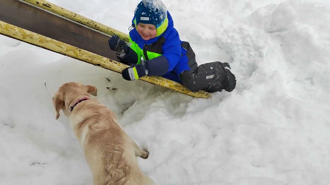 Декабрь 2022, Гуляем с Лёвой и Ютой