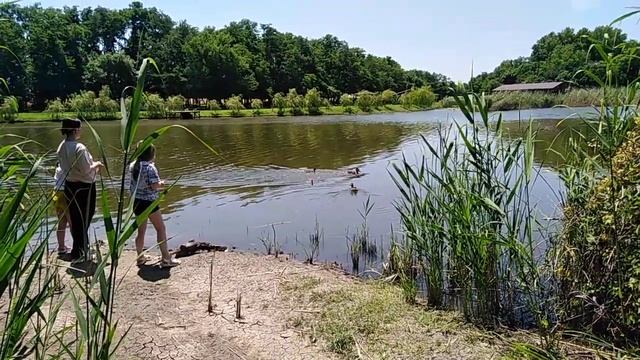 Краснодарский Край. Город Краснодар. Станица Динская, "Клёвое место"!!! смотреть онлайн