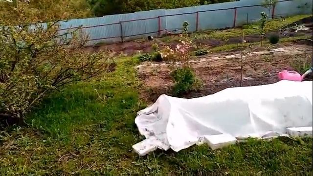 Отсыпка КРАСНЫМ КИРПИЧЁМ Основания под ФУНДАМЕНТ Строим Дом Мои СИНИЕ ИРИСЫ. Курочки 25 мая 2020 смотреть онлайн