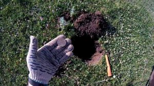 Куча МОНЕТ! Поиск с металлоискателем xp Deus.Коп МЕЧТА на небитой деревне