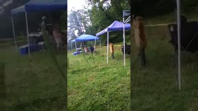 Dirtbike racing hiwassi georgia смотреть онлайн