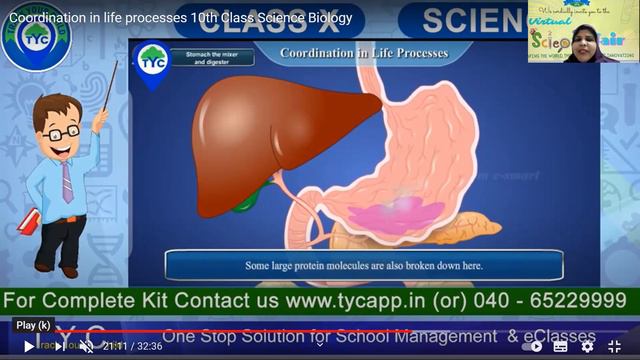 coordination and linking 3 смотреть онлайн