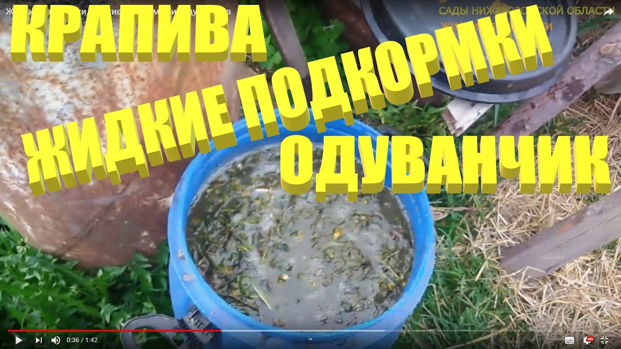 Жидкие подкормки.Жидкие подкормки из крапивы смотреть онлайн