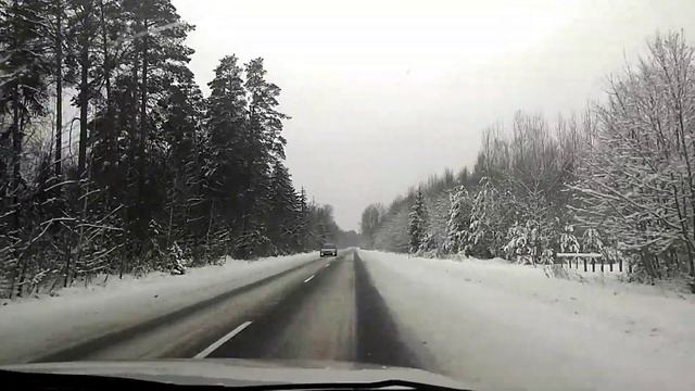 Зимний лес. Дорога Старые Дороги -- Шишчицы -- Минск 7.01.2019 смотреть онлайн