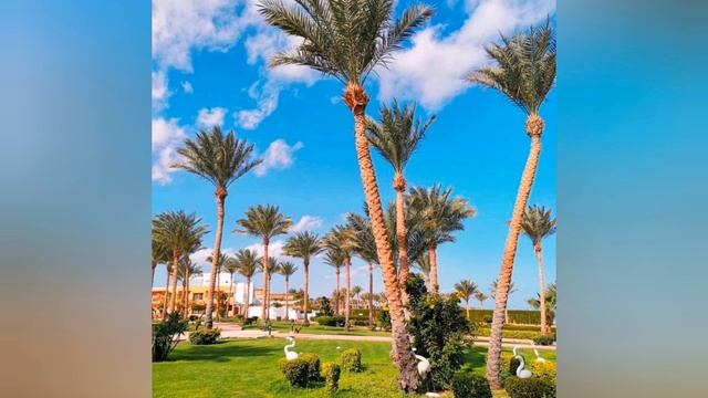 Amphoras Hotel #egypt #5star #hotel #sharmelsheikh