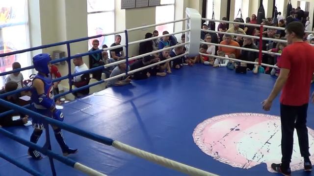 Матчевая встреча 12.10.2014 г. Ростов-на-Дону смотреть онлайн