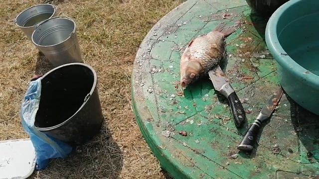 Где-то в степях Калмыкии смотреть онлайн