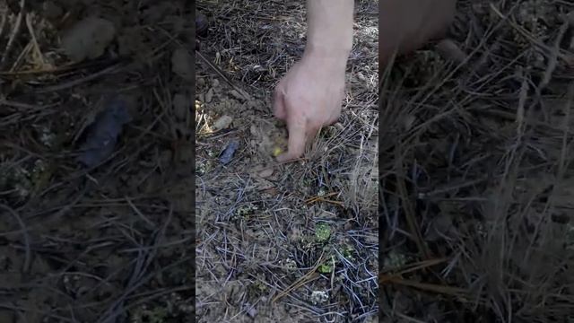 Не знал что такое бывает, из песка.... Всем смотреть для общего развития смотреть онлайн