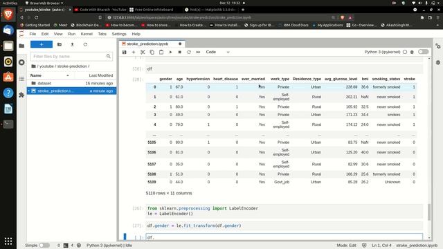 Stroke Prediction in Tamil - Data Science смотреть онлайн
