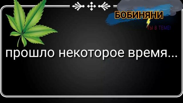 Дом и Декор