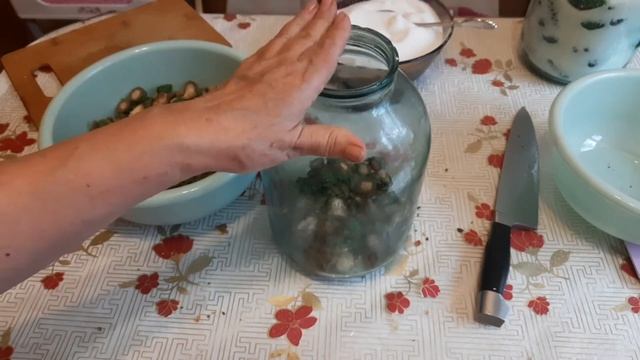 Лекции по Психологии и Личностному Развитию