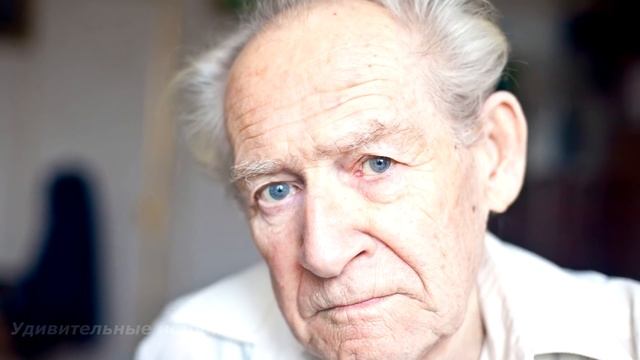 Злая НЕВЕСТКА вывезла в лес своего СВЁКРА и бросила его там... А спустя время СЛУЧИЛОСЬ... смотреть онлайн