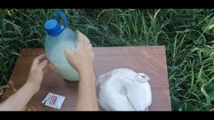 Подкормка для огурцов и томатов дрожжами  / Супер удобрение