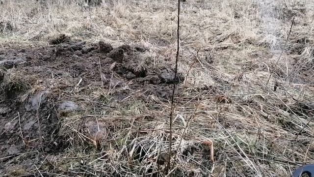 №52 СУПЕР #ШУРФ в #ПАСХУ !!! смотреть онлайн