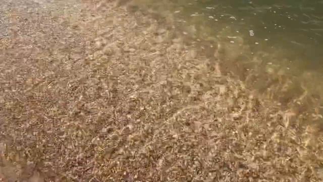 Азовское Море Шелест Волн смотреть онлайн