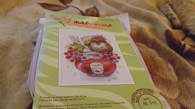 Отшив проекта М.П. Студия Жар-Птица "Красиво жить не запретишь" отчет 2 смотреть онлайн