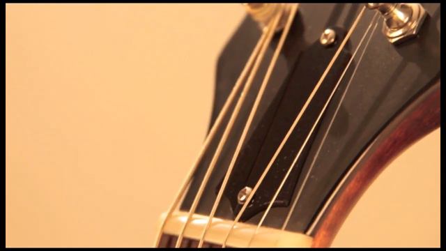 The Madison RK-G25 6-String Banjo смотреть онлайн