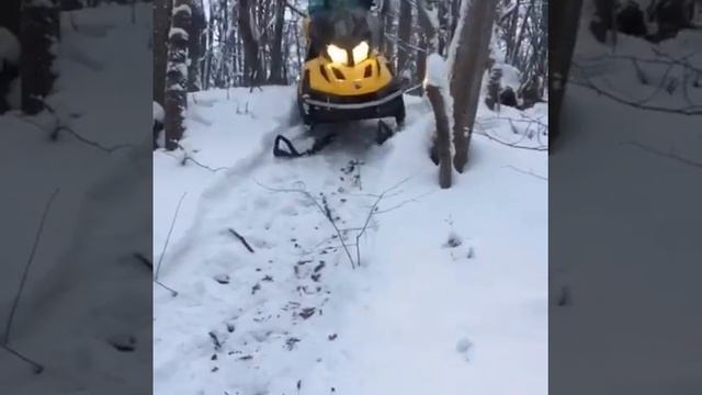 Снегоход BRP TUNDRA 550 LT в овраге