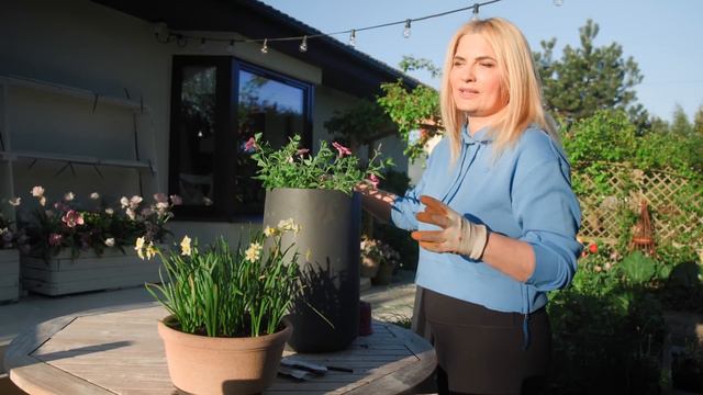 SUPERTUNIE - Czas Stworzyć ścianę Z Kwiatów Na Moim Tarasie! Jak Sadzić, Pielęgnacja, Odmiany.