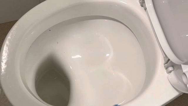 БЛЕСТЯЩИЕ КЕРАМИКА , ЗЕРКАЛА , КАФЕЛЬ смотреть онлайн