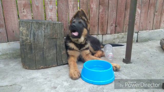 Вопрос-ответ!Порше отвечает на вопросы!Нас 100!