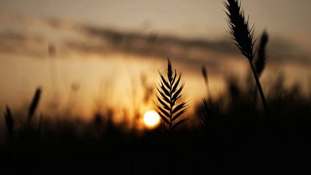 Страшилка - Никогда не звони на номер 666 смотреть онлайн