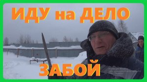 ЗАБОЙ СВИНЬИ ,еду на шабашку к соседу .Электрошокер для забоя свиней в действии .ЖИЗНЬ В ДЕРЕВНЕ.
