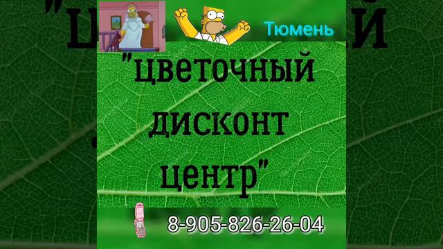 Интернет магазин цветов Тюмень. ЦВЕТЫТЮМЕНЬ.РФ смотреть онлайн