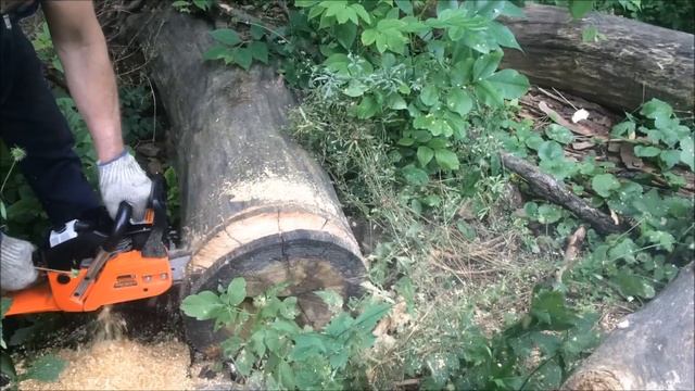 Бензопила"Карвер НОВВY" 45/15.Эта не заводится а у той "плавают обороты"! смотреть онлайн