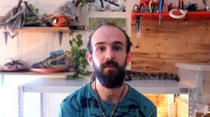 ПТИЧКА ТАРИ И КРОКОДИЛ! МИФ ИЛИ РЕАЛЬНОСТЬ?! Давайте проверим!